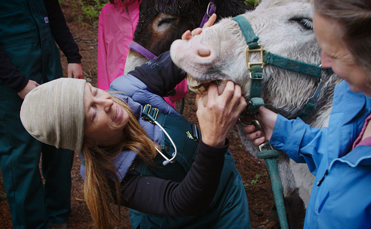 獣医ミシェルの女性史月間スペシャル「いつでも冷静沈着に」【日本語吹替版】