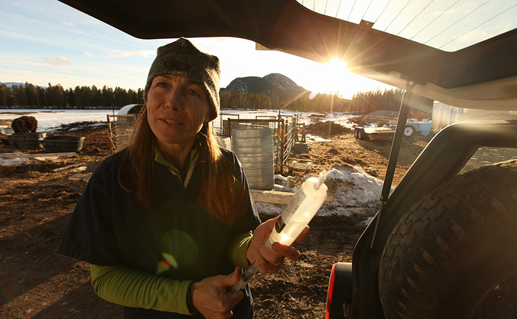 獣医ミシェルの日常 1.5 【日本語吹替版】