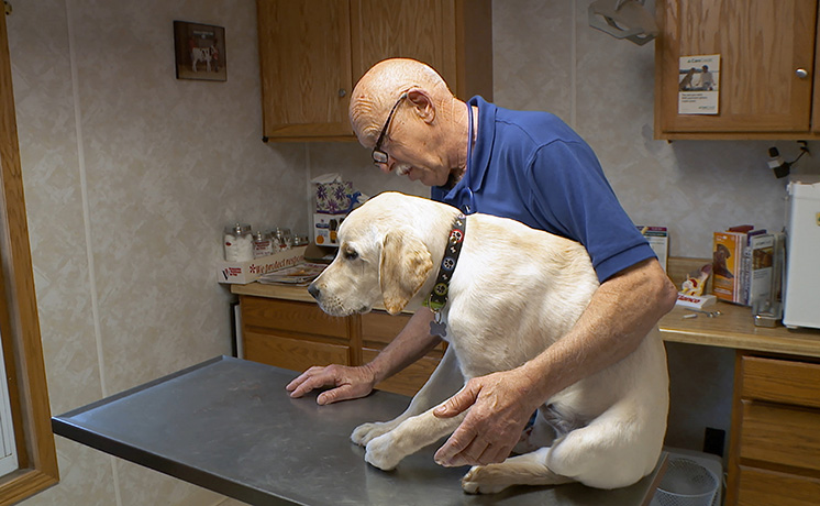 スゴ腕どうぶつドクター 総集編５