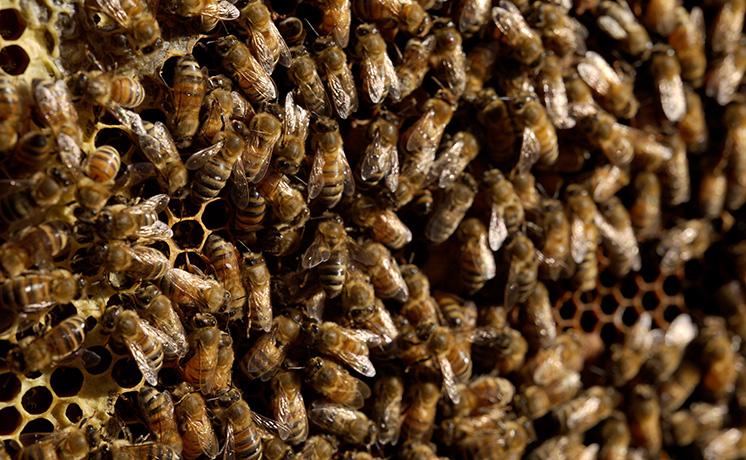 特集：驚きと出会う