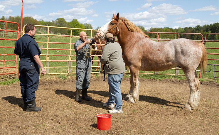 月刊 Dr.ポール：5月号