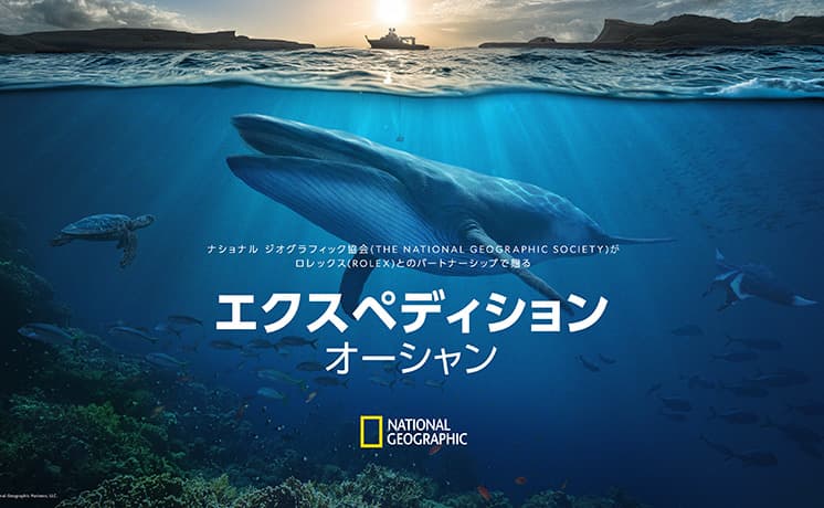 エクスペディション・オーシャン