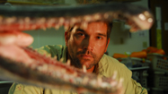 鋭い歯を持つアリゲーターガー (Alligator Gar)の写真