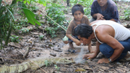 ペルー、幻覚誘発剤 (Peru-Hallucinogenic Healing)の写真