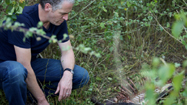 殺人キラー：ヒョウ (Killer Leopards)の写真