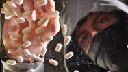 鎮痛薬依存 (Pill Nation)の写真