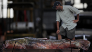 巨大ナマズを探して (原題: Giant Catfish)の写真