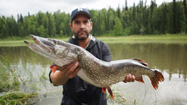巨大！キングサーモン (原題: Salmonzilla)の写真