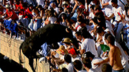 闘牛に襲われたら (原題: Raging Bull)の写真