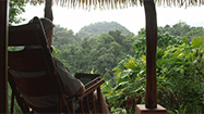 おとり捜査 (原題:Into the Jungle)の写真