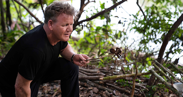 ガイアナ：危険生物で作る伝統料理 (原題: Guyana's Wild Jungles)の写真