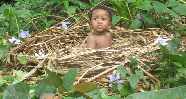 野生児 (原題: Feral Child)の写真