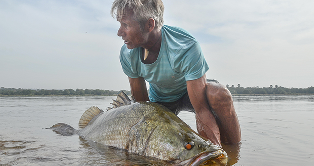 幻の巨大魚！ナイルパーチ (原題: Nile Perch)の写真