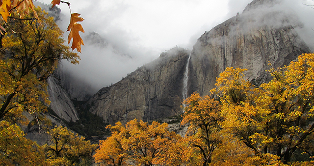 ヨセミテ国立公園 (原題: Yosemite)の写真