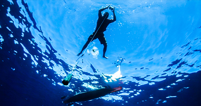 襲いかかる海 (原題: Killer Seas)の写真
