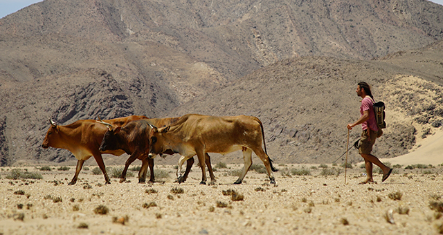 砂漠に潜む死の影 (原題: Deadly Desert)の写真