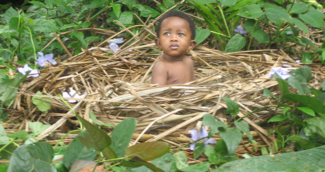 野生児 (原題: Feral Child)の写真