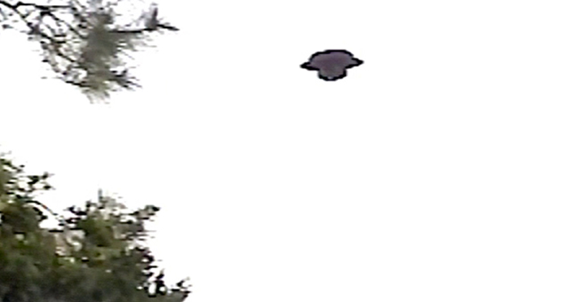 テキサスUFO目撃事件 (原題: Texas Is For Sightings)の写真