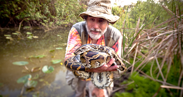 沼地に住む怪物 (原題: Swamp Beasts)の写真