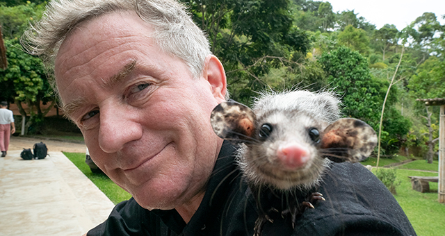 アマゾンの動物 (原題: Go Big Or Go Home)の写真
