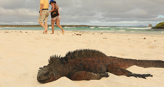 エクアドル：ガラパゴス諸島 (原題: Galapagos)の写真