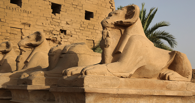 ハトシェプスト女王の素顔 (原題: Warrior Pharaoh Queen)の写真