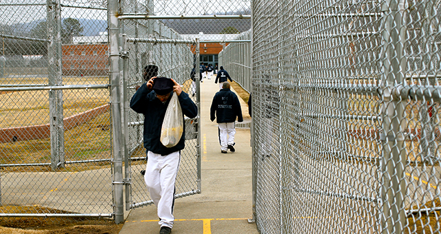 受刑者のビジネス (原題: The Hustle)の写真