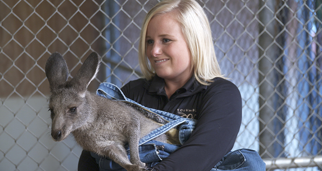 カンガルー 大人への階段 (原題: Kangaroo-Mance)の写真