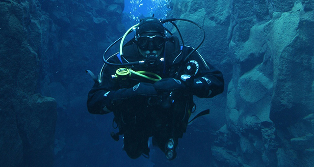 海底の生物たち (原題: It's Alive)の写真