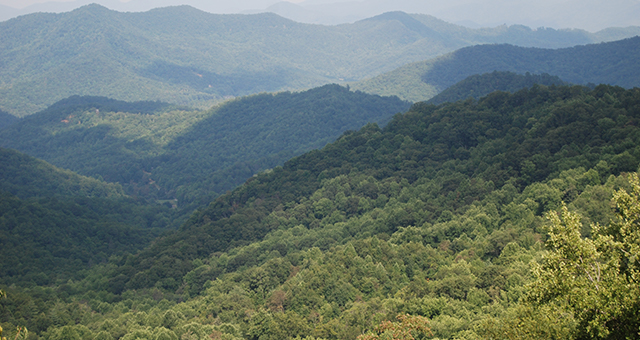 秘密のアパラチア (原題: Secret Appalachia)の写真