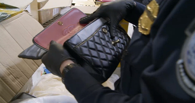 ミッション・コンプリート (原題: Decoys, Diversions And Drug Busts)の写真