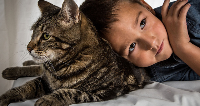 ヒーローキャット (原題: Hero Cat)の写真