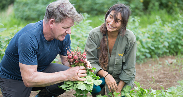 プエルトリコ：魚介と有機野菜のレシピ (原題: Lush And Wild Puerto Rico)の写真