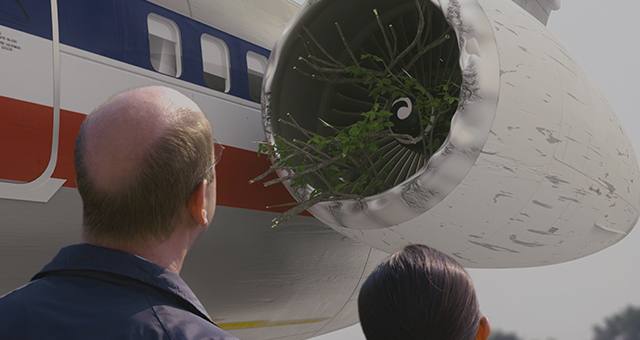 アメリカン航空1572便 (原題: Tree Strike Terror)の写真