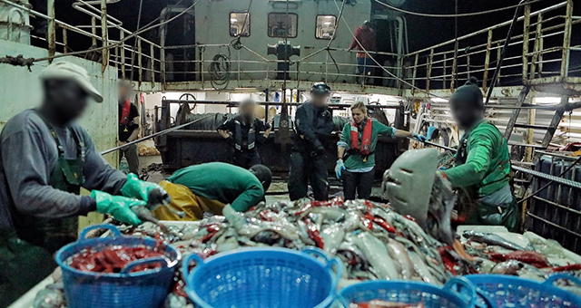 違法漁業の実態 (原題: Fish Pirates)の写真