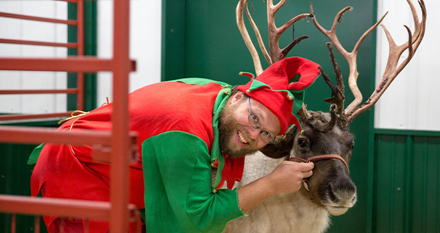 クリスマスがやって来る！ (原題: Santa Paws)の写真