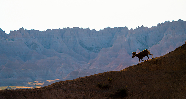バッドランズ国立公園 (原題: Badlands)の写真