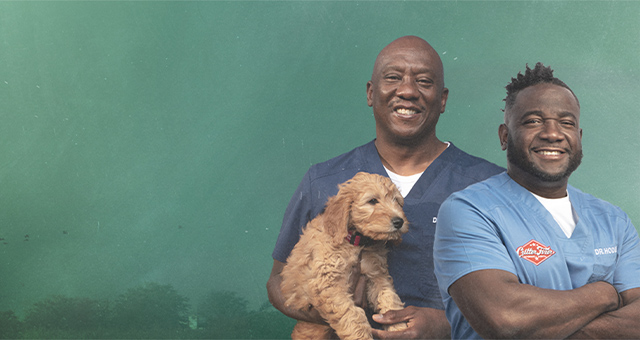 ようこそ︕クリッター・フィクサー動物病院へ 5の写真