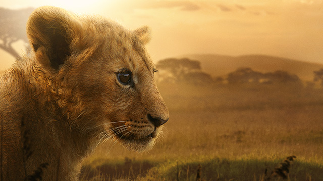 LION -王国の物語-の写真