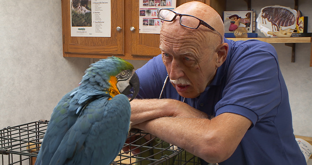 スゴ腕どうぶつドクター 総集編4の写真