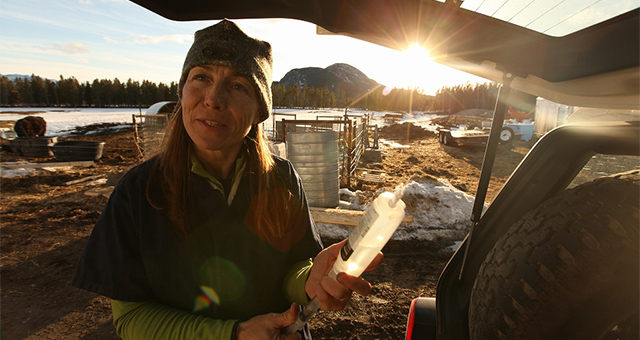 獣医ミシェルの日常 1.5の写真