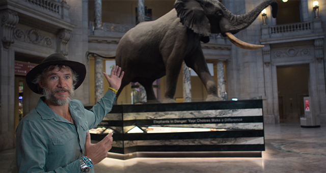 ゴースト・エレファント～巨大な幻影を追う者の写真