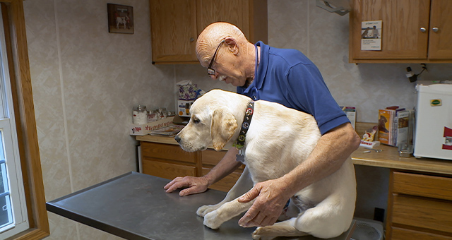 スゴ腕どうぶつドクター 総集編５の写真