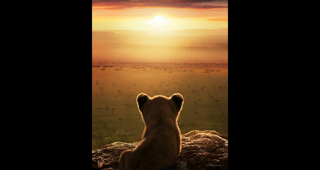 LION -王国の物語-の写真