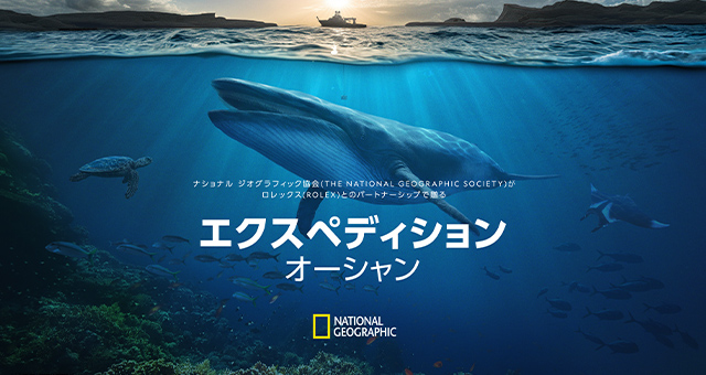 エクスペディション・オーシャンの写真