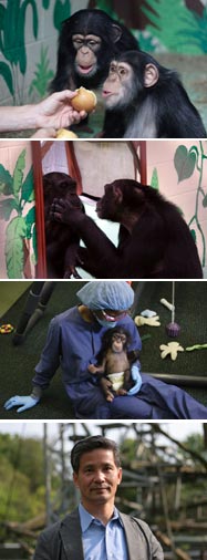 番組内容の写真