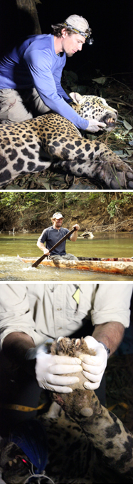 番組内容の写真