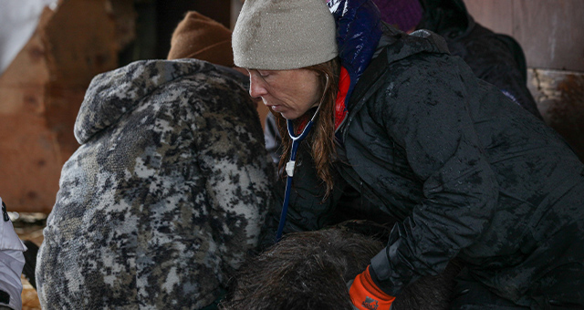 獣医ミシェルの日常 9