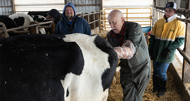 スゴ腕どうぶつドクター 13