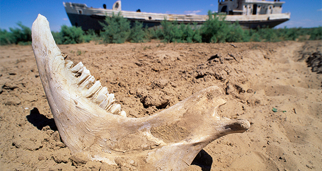 ミステリアス・アイランド：孤島の光と影